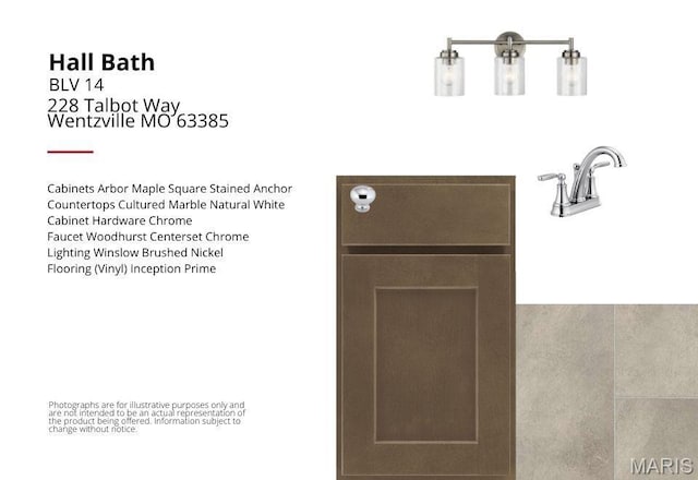 228 Talbot Way, Wentzville, MO 63385 - view of miscellaneous listing collateral