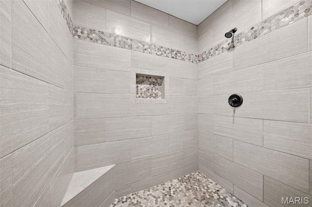 111 Foristell Ridge Ct, Foristell, MO 63348 - full bath featuring a tile shower