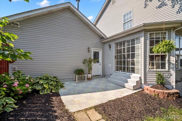 300 Wildberry Ln, Saint Charles, MO 63304 - view of exterior entry featuring a patio area