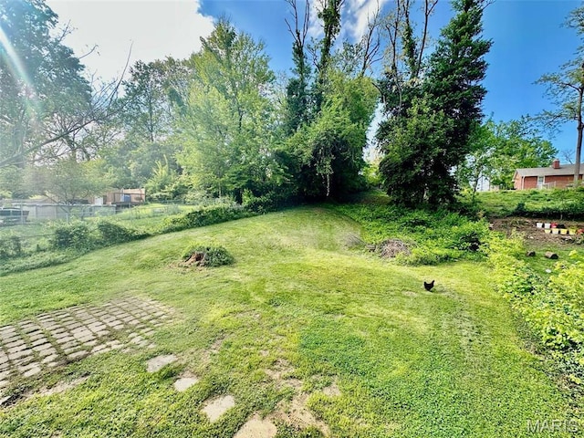860 Chouteau Ave, Godfrey, IL 62035 - view of yard