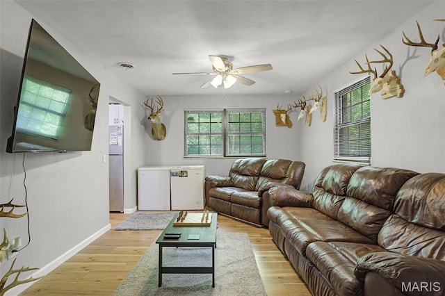 28 French Quarter, Belleville, IL 62223 - living room with healthy amount of natural light, a ceiling fan, and light wood-style flooring