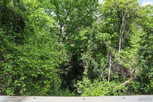 28 French Quarter, Belleville, IL 62223 - view of nature