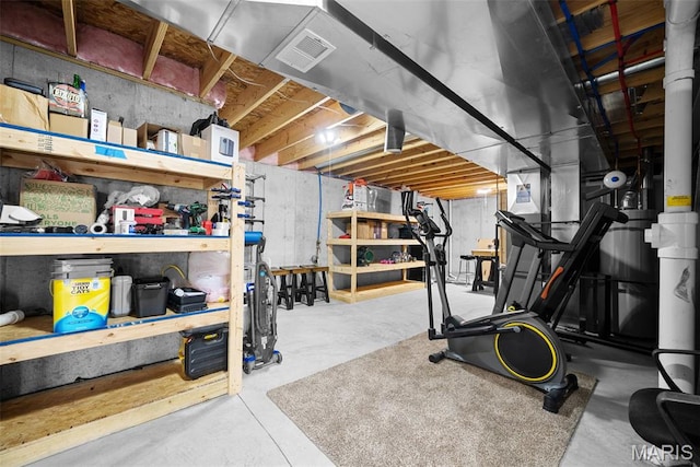 unfinished basement with a workshop area