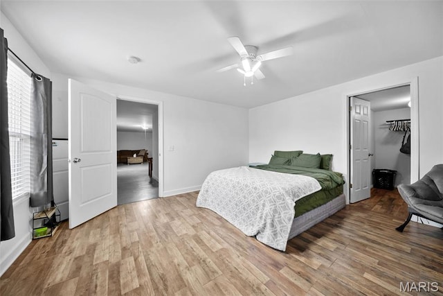 bedroom with light wood-type flooring, baseboards, a ceiling fan, and a walk in closet