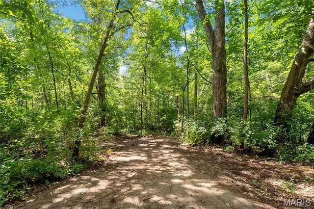 3225 Margaret Mary Ln, Belleville, IL 62221