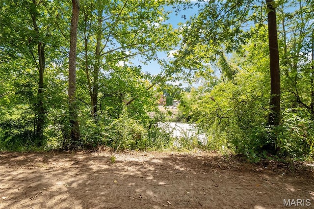 3225 Margaret Mary Ln, Belleville, IL 62221
