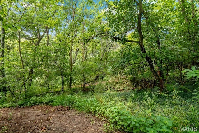 3225 Margaret Mary Ln, Belleville, IL 62221
