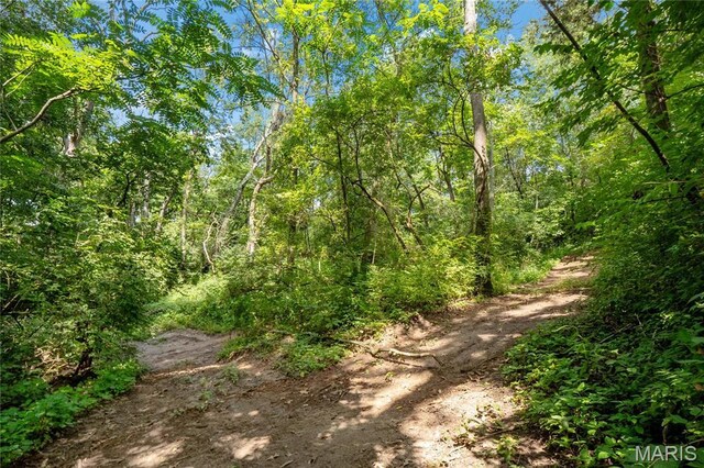 3225 Margaret Mary Ln, Belleville, IL 62221