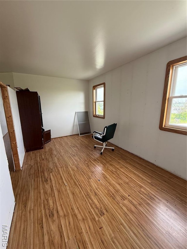 29595 State Highway 3, La Plata, MO 63549 - unfurnished room with light wood-style floors
