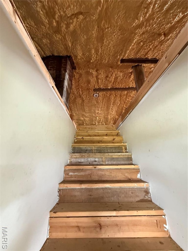 29595 State Highway 3, La Plata, MO 63549 - view of stairway