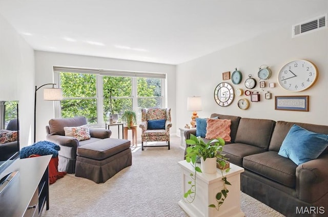5 Delcrest Ct Unit 203, Saint Louis, MO 63124 - living area featuring carpet and healthy amount of natural light