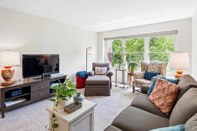 5 Delcrest Ct Unit 203, Saint Louis, MO 63124 - living room featuring light colored carpet
