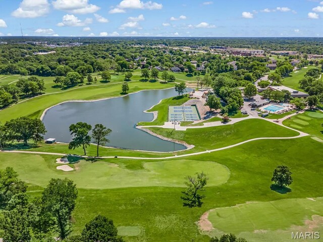 3 Country Club Ln, Edwardsville, IL 62025 - photo 65