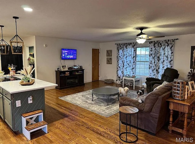 23784 Maries Road 410th Rd, Belle, MO 65013 - living room with ceiling fan and wood finished floors