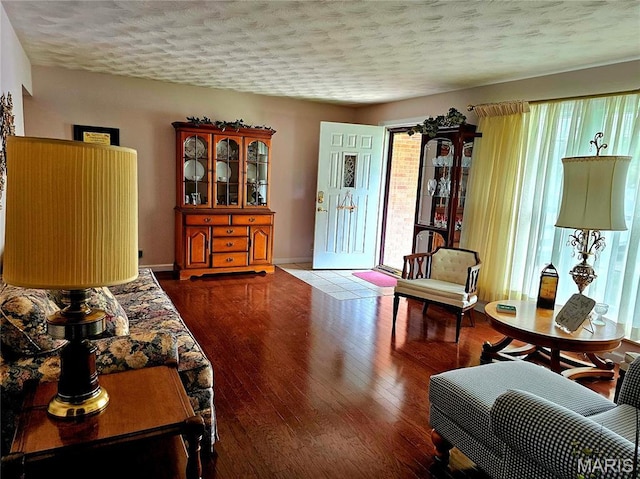 1117 Meadow Ln, Sparta, IL 62286 - living area with a textured ceiling, wood finished floors, and baseboards