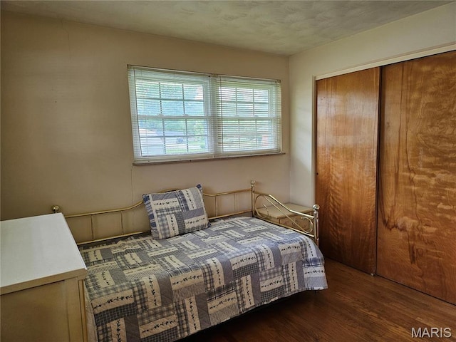 1117 Meadow Ln, Sparta, IL 62286 - bedroom featuring wood finished floors and a closet