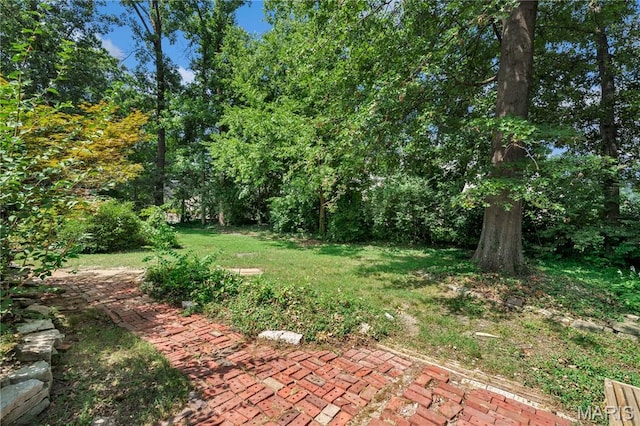 369 Halcyon Dr, Saint Louis, MO 63122 - view of green lawn