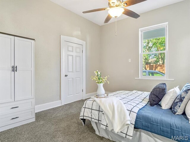 516 Survey St, Belleville, IL 62220 - photo 15