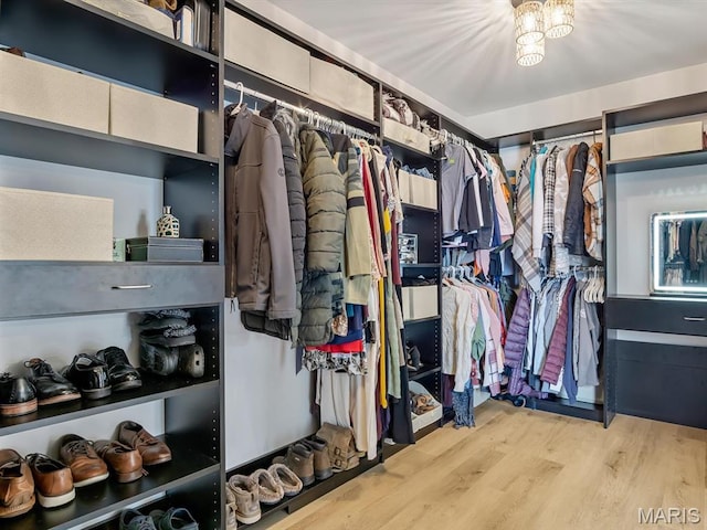 spacious closet featuring wood finished floors