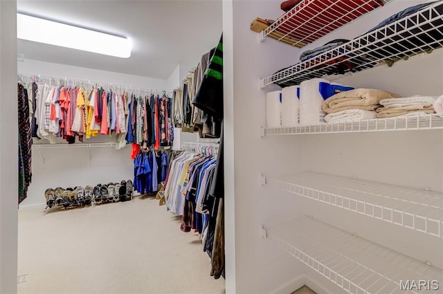 41 Deer Creek Dr, Ofallon, MO 63366 - walk in closet with carpet