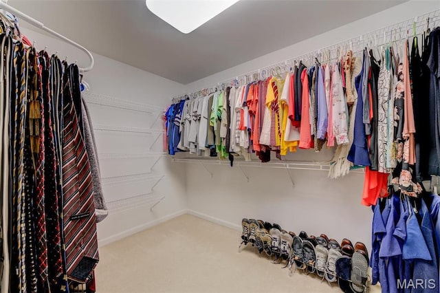 41 Deer Creek Dr, Ofallon, MO 63366 - walk in closet featuring carpet
