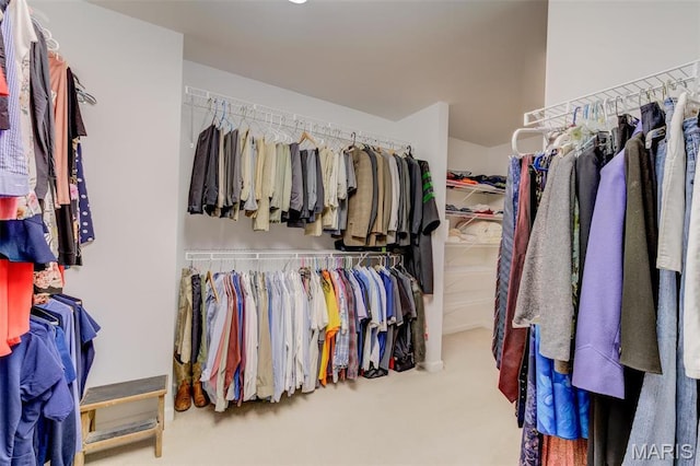41 Deer Creek Dr, Ofallon, MO 63366 - walk in closet with carpet