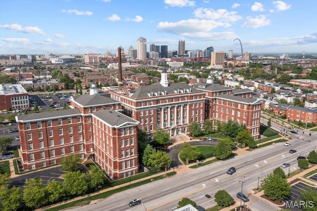 drone / aerial view of a skyline view