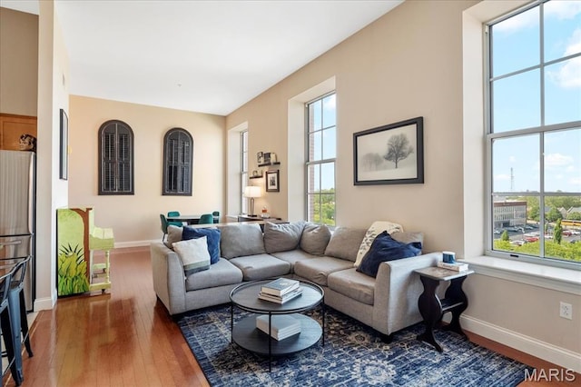 living area with healthy amount of natural light, baseboards, and hardwood / wood-style floors