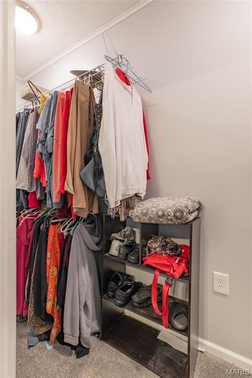 walk in closet featuring carpet