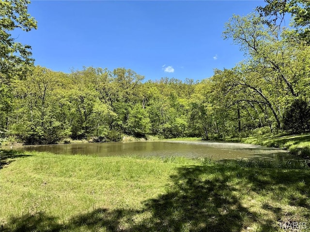 water view with a forest