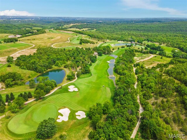 240 Golf Club Dr, Hollister, MO 65672 - photo 52