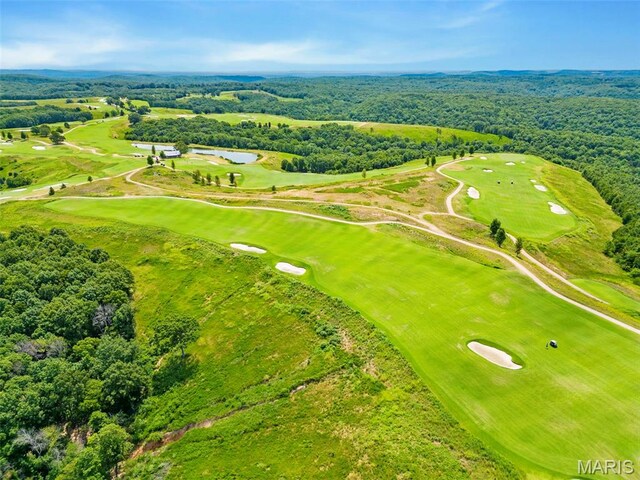 240 Golf Club Dr, Hollister, MO 65672 - photo 56