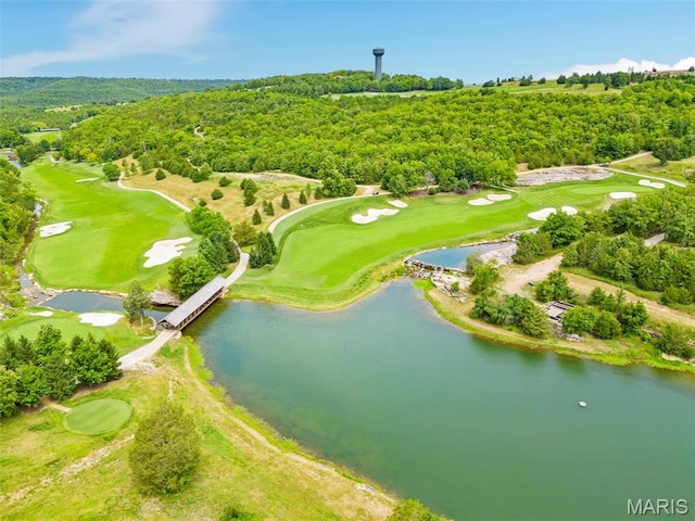240 Golf Club Dr, Hollister, MO 65672 - photo 58