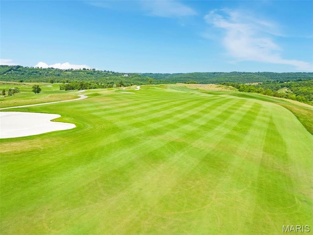 240 Golf Club Dr, Hollister, MO 65672 - photo 59