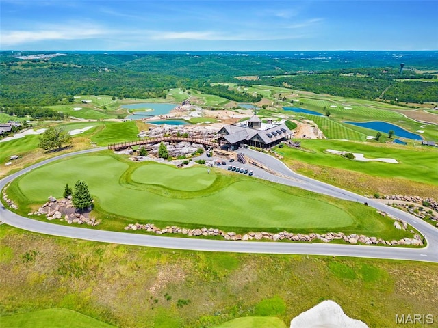 240 Golf Club Dr, Hollister, MO 65672 - photo 62