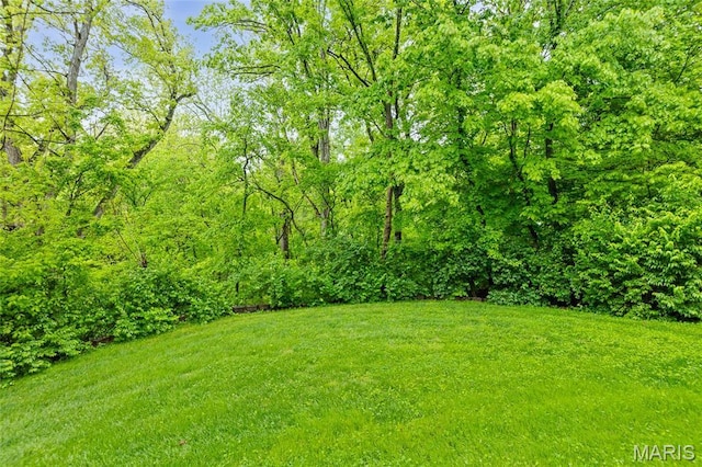 view of grassy yard