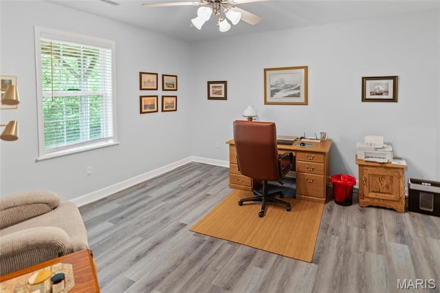 office featuring ceiling fan, light wood finished floors, and baseboards