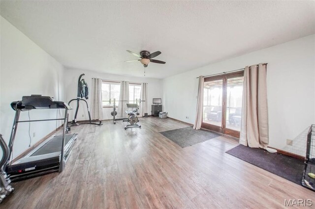 exercise area featuring wood finished floors, a ceiling fan, and baseboards