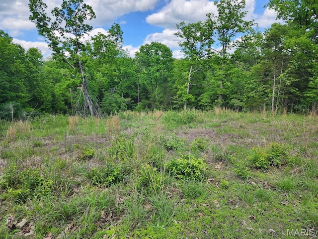 0 Rue Marseilles, Bonne Terre, MO 63628