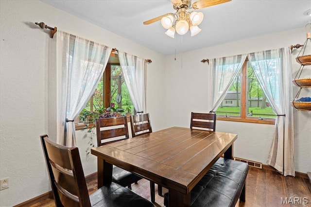 22000 E Rd, Carlyle, IL 62231 - dining space featuring healthy amount of natural light, hardwood / wood-style flooring, a ceiling fan, baseboards, and a textured wall