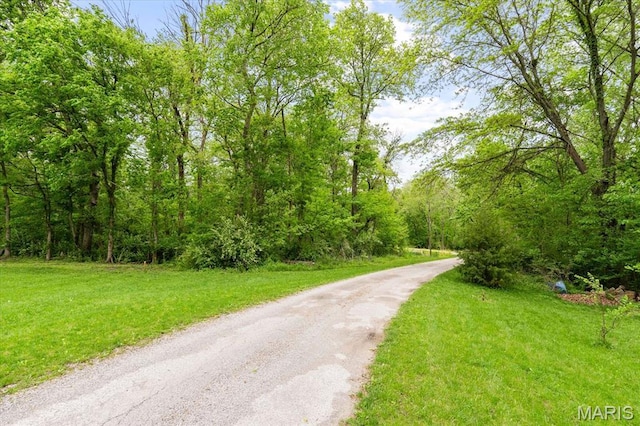 22000 E Rd, Carlyle, IL 62231 - view of road with a wooded view