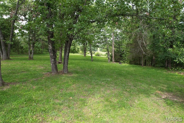 24 Clonts Rd, Sullivan, MO 63080 - view of green lawn