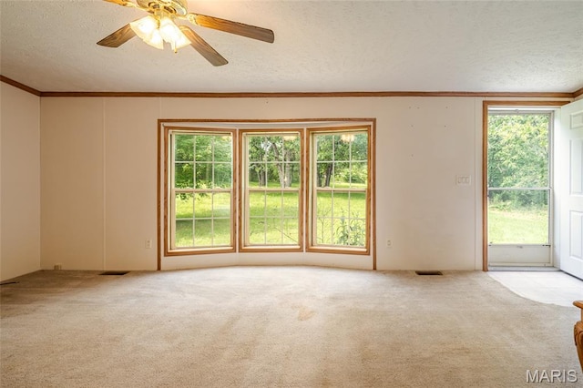 24 Clonts Rd, Sullivan, MO 63080 - unfurnished room with a textured ceiling, carpet, ornamental molding, and a ceiling fan