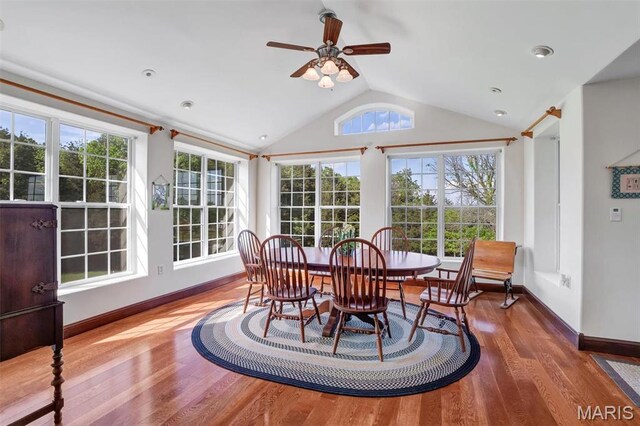 3033 Oakvale Rd, De Soto, MO 63020 - dining room featuring lofted ceiling, healthy amount of natural light, ceiling fan, wood finished floors, and baseboards