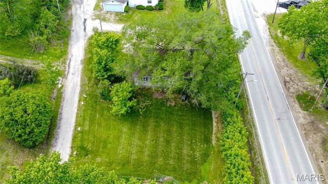 bird's eye view