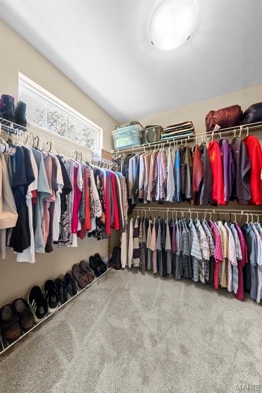 spacious closet with carpet flooring