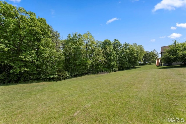 view of grassy yard