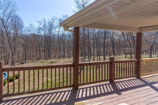28 Lacey Oak Ct, Troy, MO 63379 - photo 49