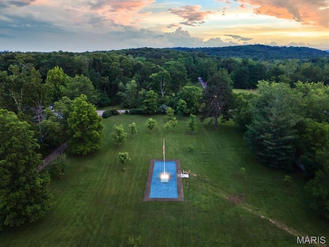 505 Thompson Ln, Arcadia, MO 63621 - aerial view at dusk of a forest view