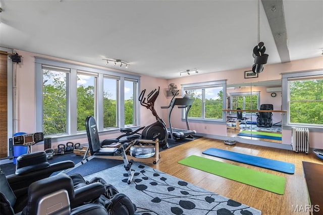 505 Thompson Ln, Arcadia, MO 63621 - gym with radiator heating unit, wood finished floors, and rail lighting